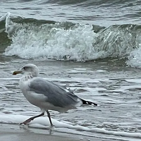 Fh Kormoran * Karlshagen